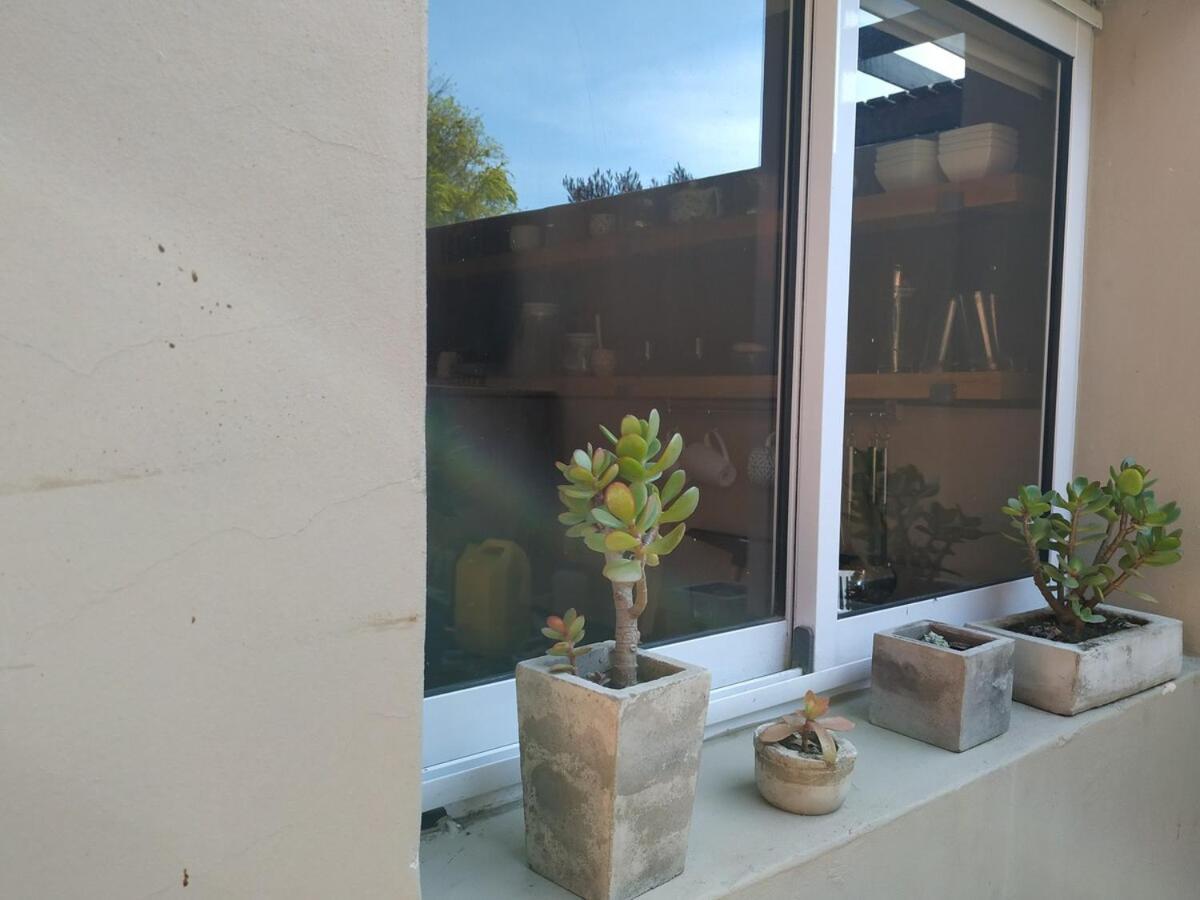 Verde Lillo Gubbio Ngoại thất bức ảnh